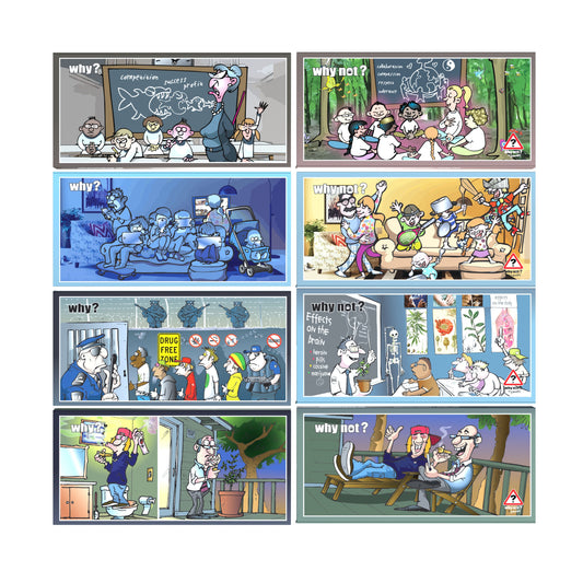 wholesale Why Not? Education